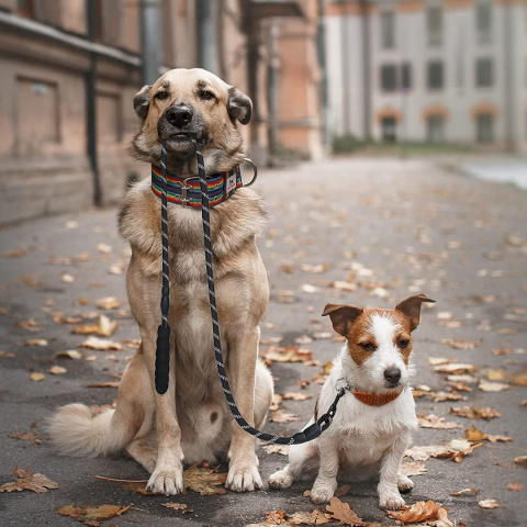 Smycz treningowa dla Dużego Psa Linka Gruba Odblaskowa wytrzymała gruba długa 5m Smycz treningowa dla Dużego Psa Linka Gruba Odblaskowa wytrzymała gruba długa 5m