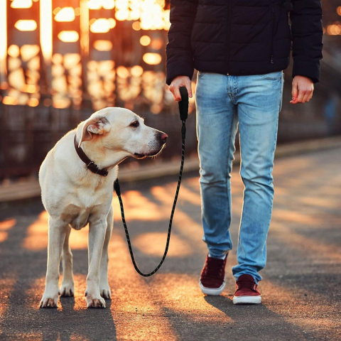 Smycz treningowa dla Dużego Psa Linka Gruba Odblaskowa wytrzymała gruba długa 5m Smycz treningowa dla Dużego Psa Linka Gruba Odblaskowa wytrzymała gruba długa 5m